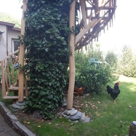 Treehouse_dresden