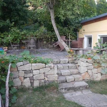 Treehouse_dresden دريسدن